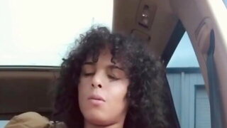 Shemale In Car