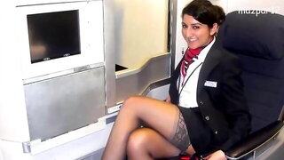 Stewardess Stockings