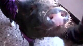 Bukkake Tits, Teen Bukkake, Blowbang Big Tits, Busty Teen, Fetish, Group