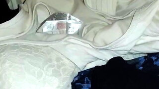 Clothed Shemale And Girl