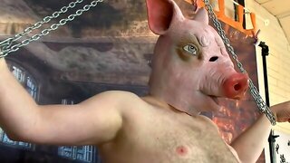 Mature Pig Slave