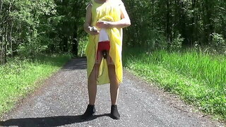Transgender Travesti