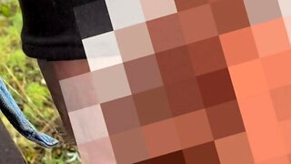 Gay