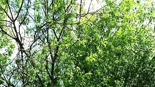 Dogging Beach, Massage Caméra Cachée, Wife Outdoor, Plage