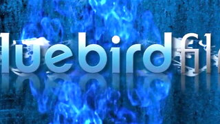 Femdom Hogtied Bondage