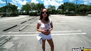 Car Flashing Dick