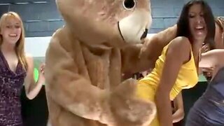 Bachelorette Party Fuck, Bear Dancing, Dancing Bear Big Tits