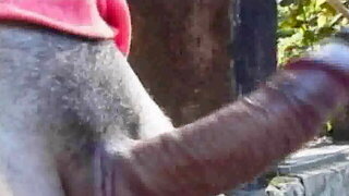 Gay En Forêt, Gay Interracial