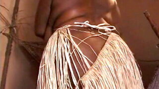 Afrikanische Dicke