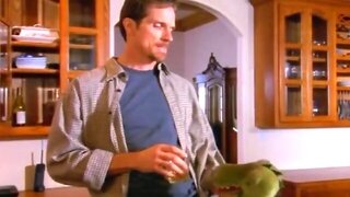 Vintage Softcore Movies