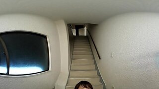 Japanese Stockings Swallow