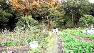 Mature Outdoor Public Watching