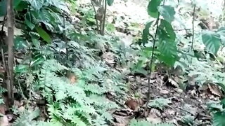 BIG ASS WIFE doggy in JUNGLE Risky OUTDOOR