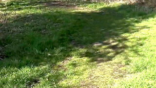 Gay Cruising Outdoor Woods