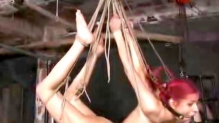 2000er, Insex Bdsm