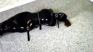 Cosplay