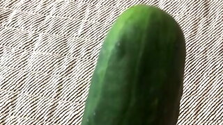 Masturbation Cucumber