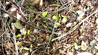 Public Gay Cruising Handjob