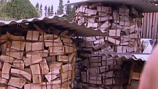 Full Movies With Story