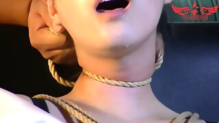 패티쉬, 속박, 성도착