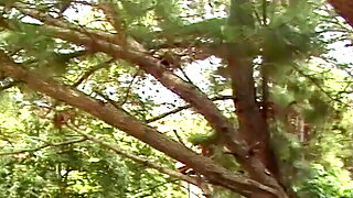 Shemale Fucks Guy
