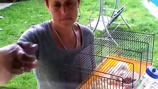 Mature Sucking Young Cock