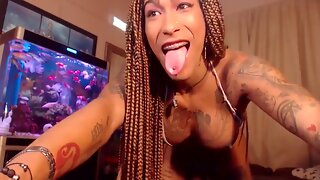 Ebony Big Cock Solo