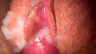 Creampie Compilation