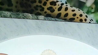 Big Clit