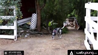 Softcore Lesbian Movies