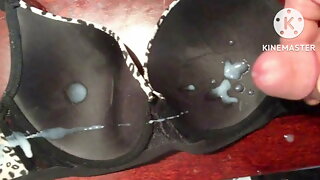 Meri Punjabi didi ki chudhi sex stories part 1