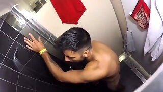 Homo