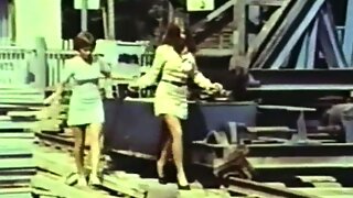 Vintage Outdoor Sex