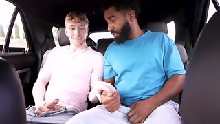 Gay