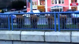 Full Movies Stocking