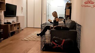 Pantyhose Bondage