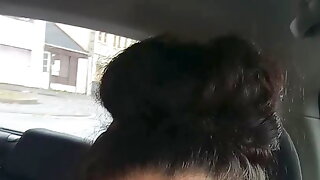 Hot girl masturbates in the car