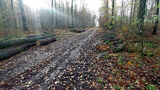 Randonnes, Randonnée Nature, Extérieur