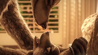 Wolf Animation, Furry Fox, Cartoon