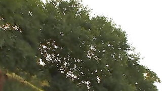 Skinny Forest
