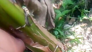 Nature Sex.. Sex with Banana Tree. PART....4