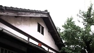 Small Tits Hairy Japanese