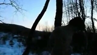 Neige Bdsm