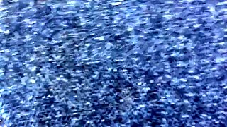 Quickie In The Woods