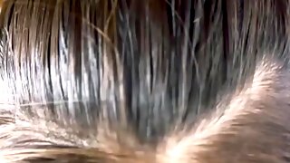 Vacation With Mom, Vacation Family