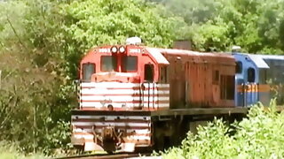 Real Couple Outdoors