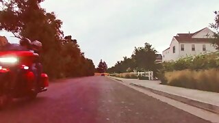 Dee Williams With Shemale