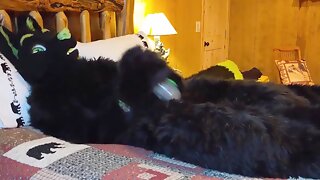 Voyeur Cabine Masturbation
