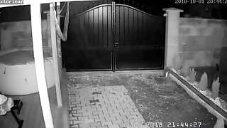 While Dad Is Away