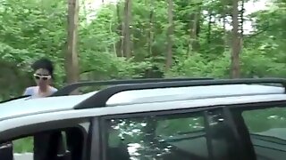 Hairy Car
